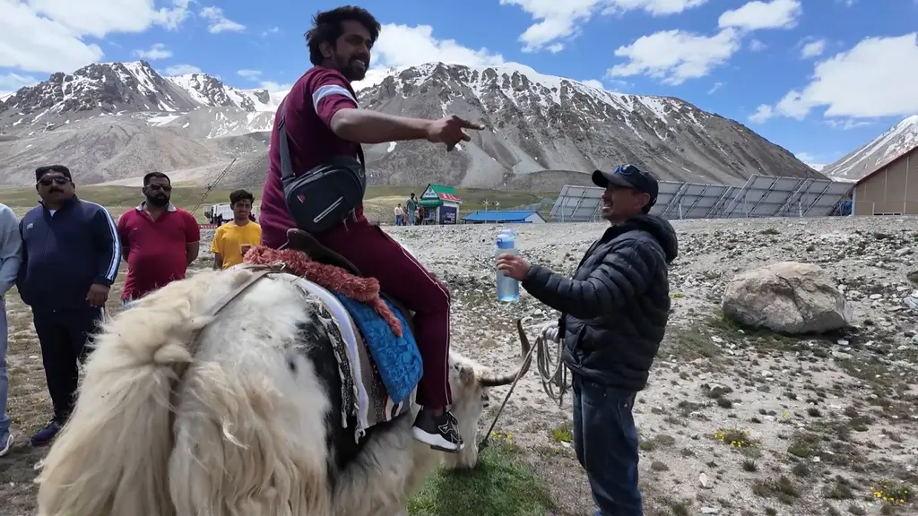 Yak ride at Khunjerab Pass, Rs 1,000 per person